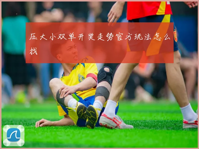 压大小双单开奖走势官方玩法怎么找