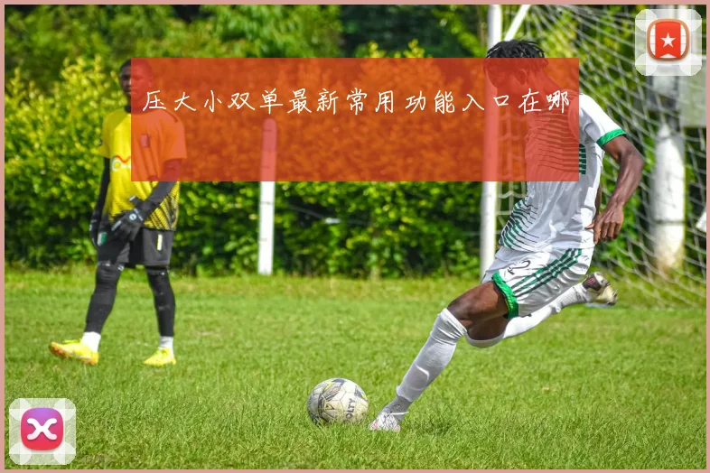 压大小双单最新常用功能入口在哪