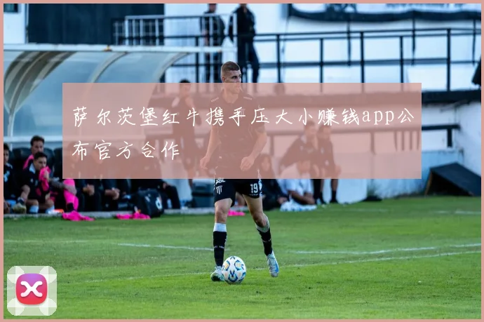 萨尔茨堡红牛携手压大小赚钱app公布官方合作